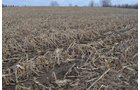Property photo 38 - 98+/- Acres Offered in 6 Tracts or Combinations, Noble County, Indiana Farm